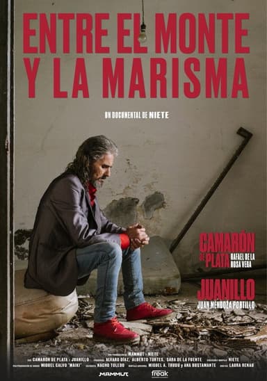 Entre el monte y la marisma poster