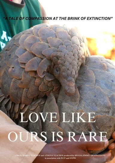 Love Like Ours is Rare poster