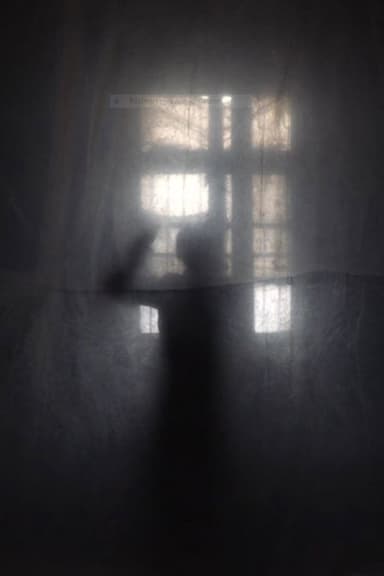 Self-Portrait: Window in 47KM poster