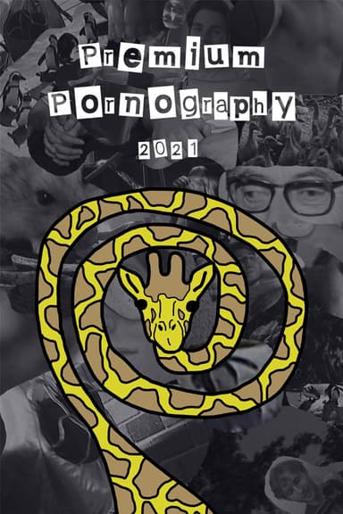 Premium Pornography poster