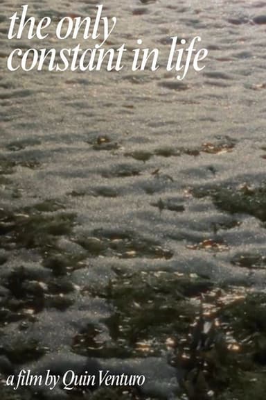 The Only Constant In Life poster