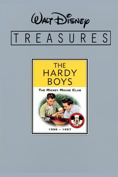 The Hardy Boys Unmasked poster