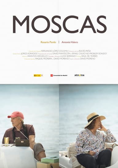 Flies poster