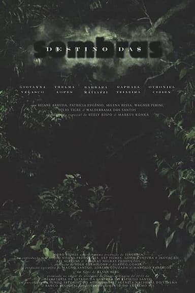 Destino das Sombras poster