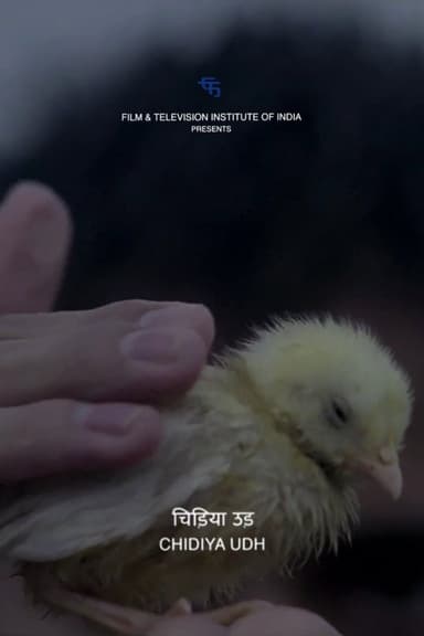 Fly, Bird poster