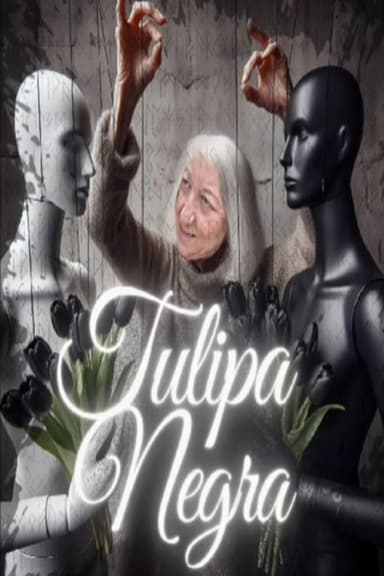 Tulipa Negra poster