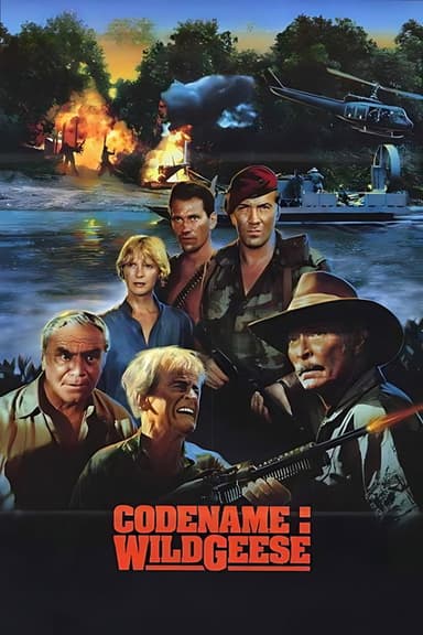 Code Name: Wild Geese poster