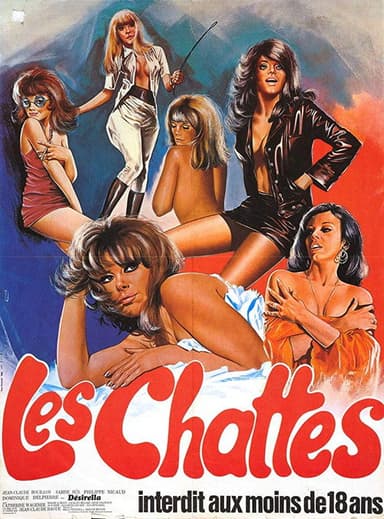 The Sextrovert poster