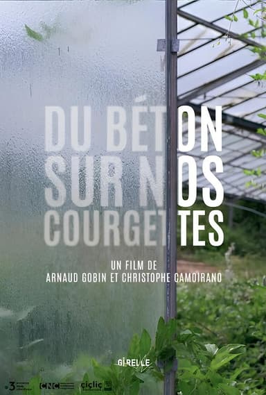 Du béton sur nos courgettes poster