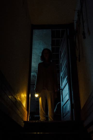 Shadow poster