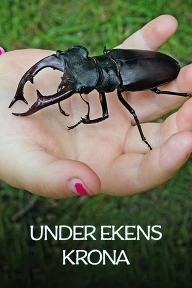 Under ekens krona poster