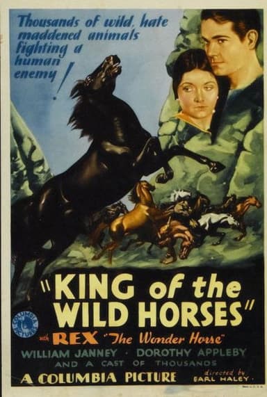 King of the Wild Horses poster