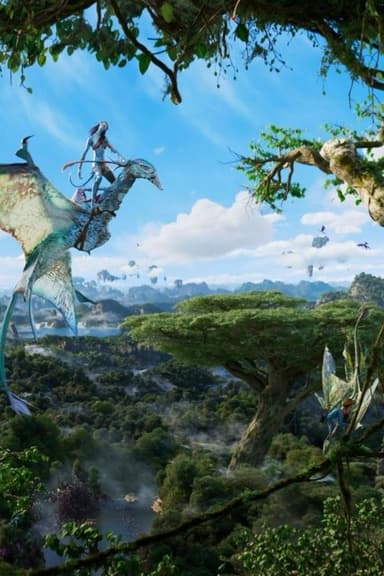 Avatar Flight of Passage poster