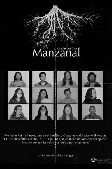 Manzanal poster