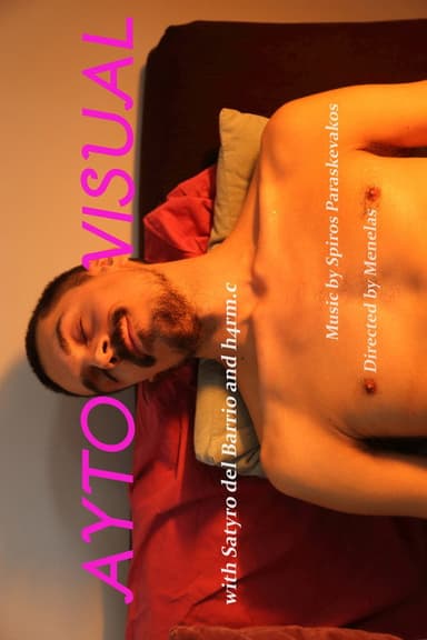 AUTO/VISUAL poster