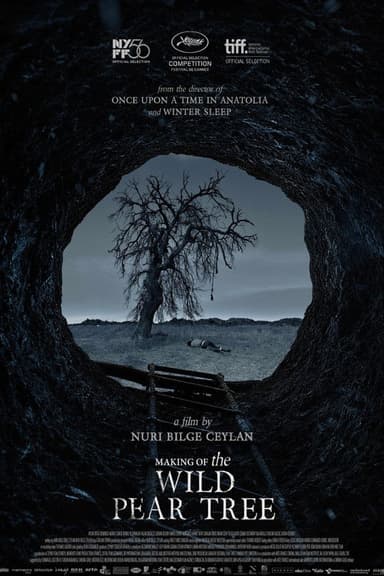 Making of The Wild Pear Tree poster