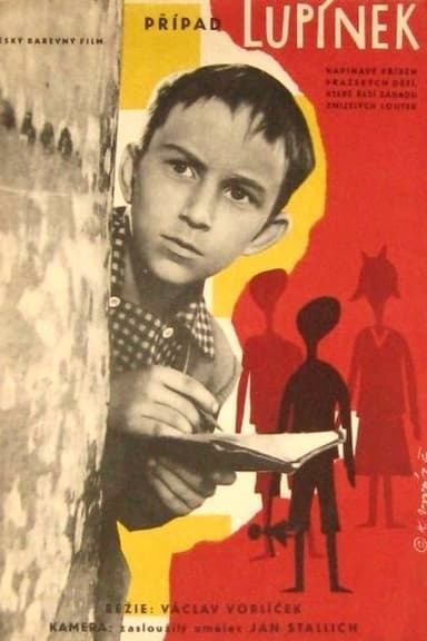 The Lupinek Case poster