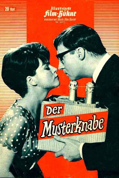 The Model Boy poster