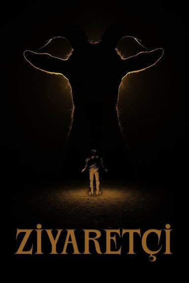 Visitor poster