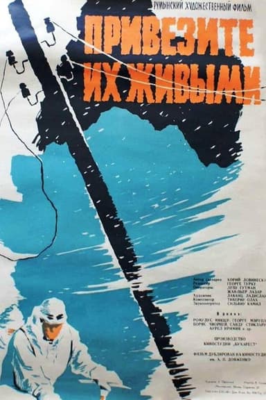The Avalanche poster
