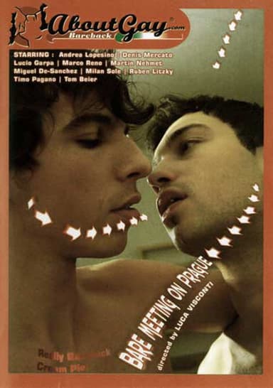 Bare Meeting On Prague poster