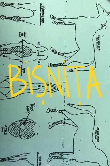 BIZ poster