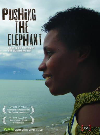 Pushing the Elephant poster