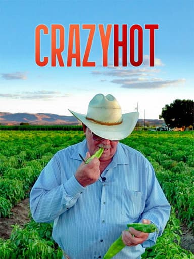 CrazyHot poster