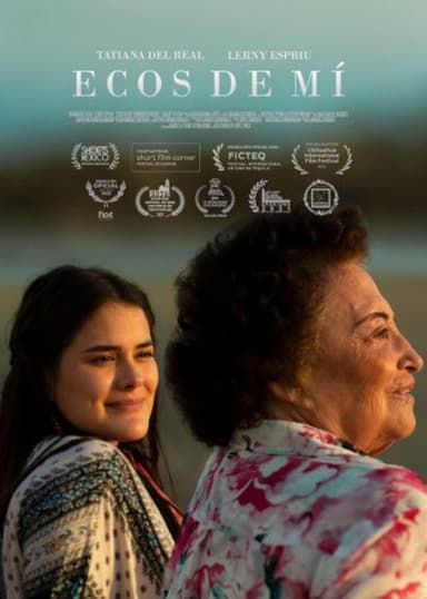 Echoes of Me poster