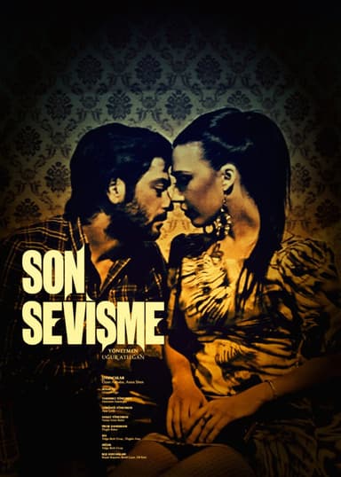 Son Sevişme poster
