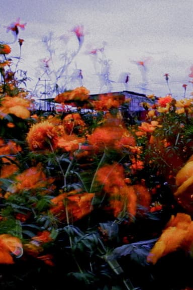 Monet poster