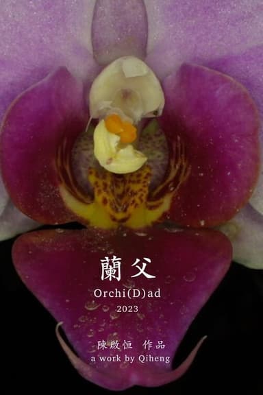 Orchi(D)ad poster