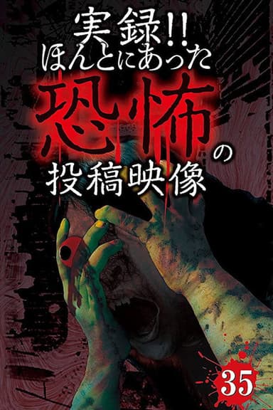 Actual Record! Real Horror Posted Video 35 poster