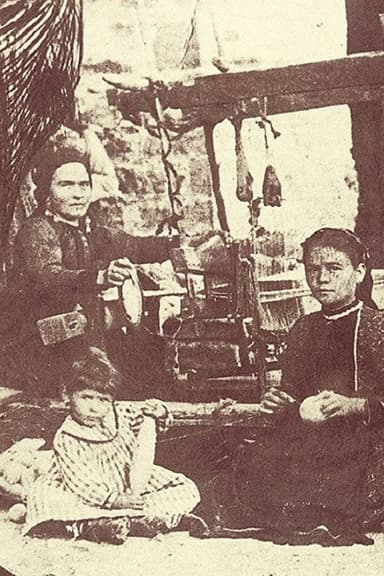 Wallachian Nomads poster
