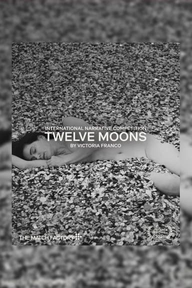 Twelve Moons poster