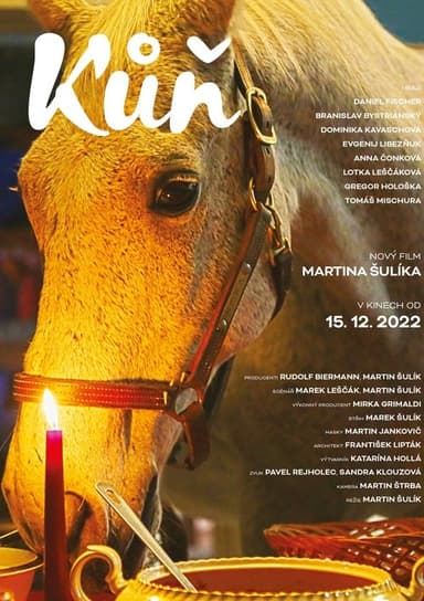 Horse poster