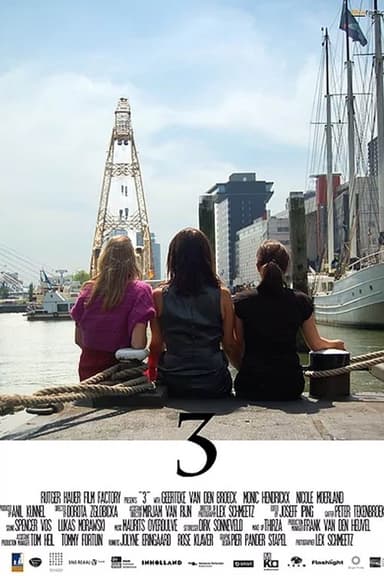 3 poster
