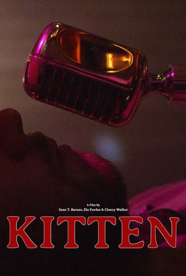 Kitten poster