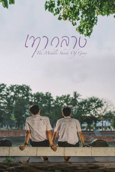 The Middle Shade of Grey poster