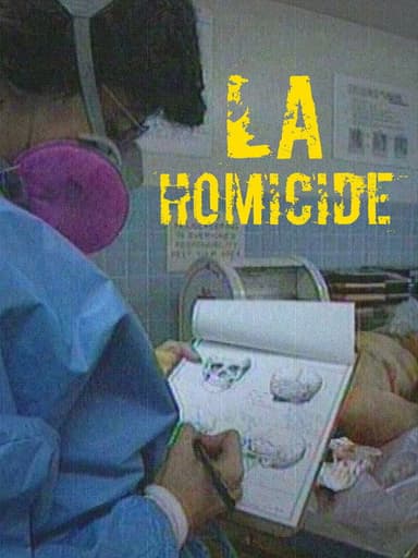 LA Homicide poster