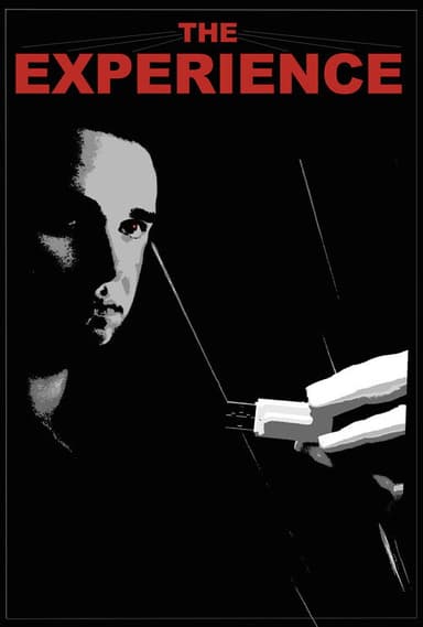 The Experience poster