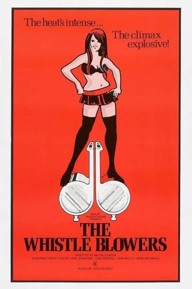 The Whistle Blowers poster