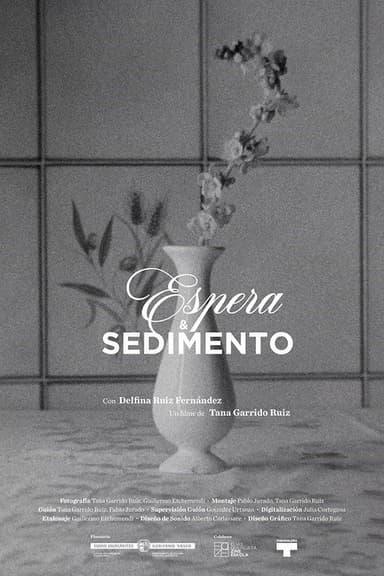Espera & Sedimento poster