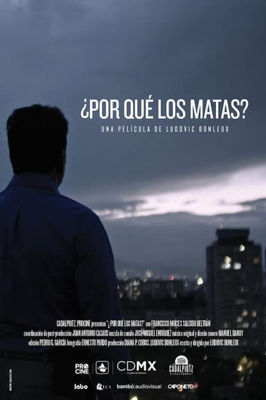 Why Do You Kill Them? poster