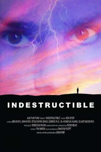 Indestructible poster