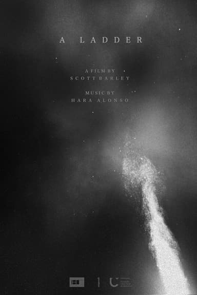 A Ladder poster