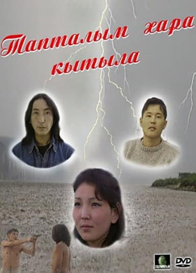 My Love is Black poster