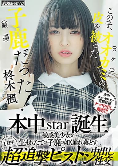 この子、オオカミ(スケベ)の皮を被った子鹿（敏感）だった！ 本中star誕生 敏感美少女を生まれたての子鹿の如く崩れ落とす1日中超追撃ピストン中出し性交 poster