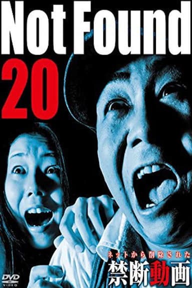 Not Found 20 poster