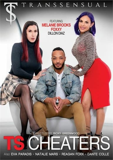TS Cheaters poster